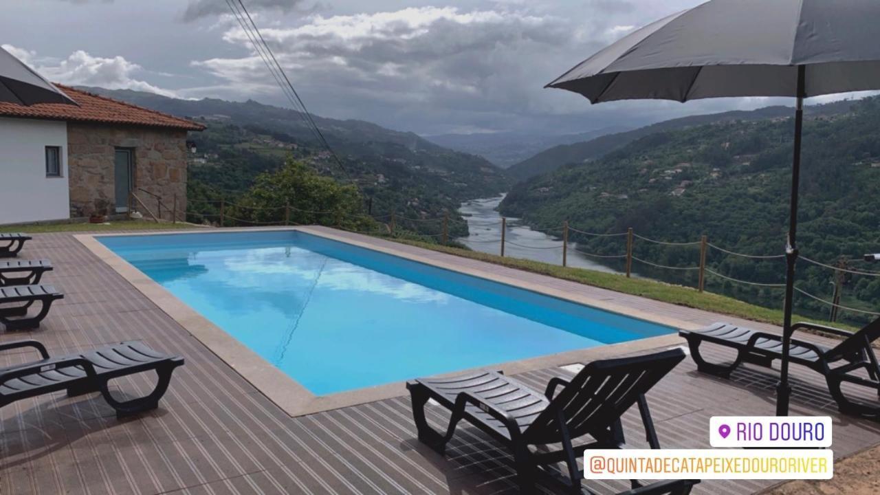 Quinta De Catapeixe Douro River Magrelos Eksteriør bilde