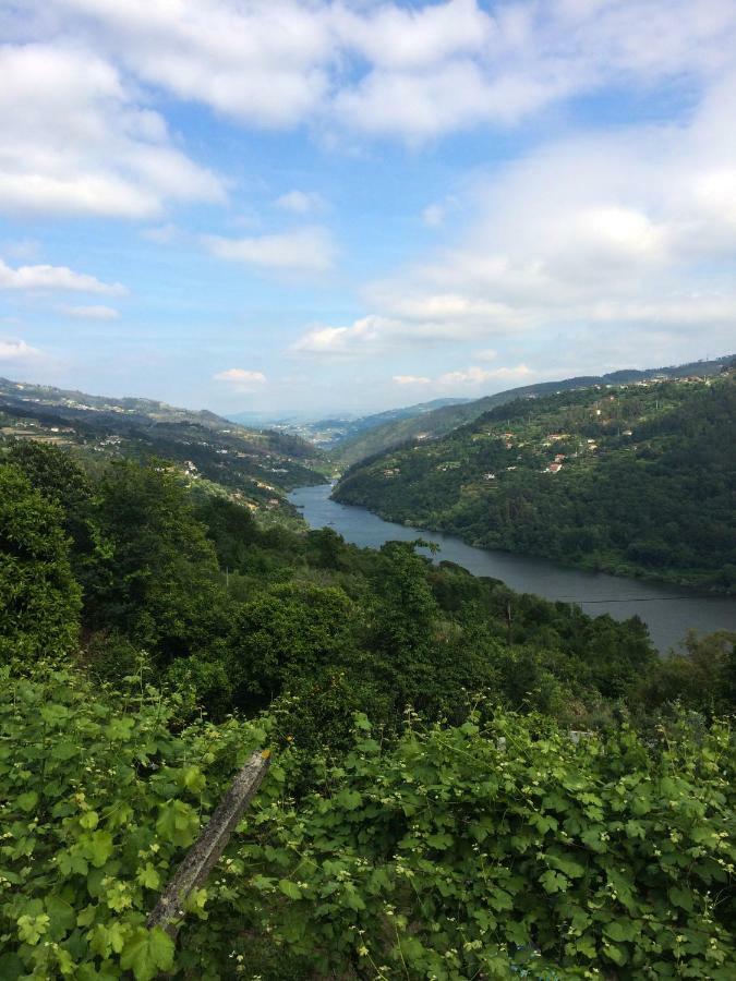 Quinta De Catapeixe Douro River Magrelos Eksteriør bilde