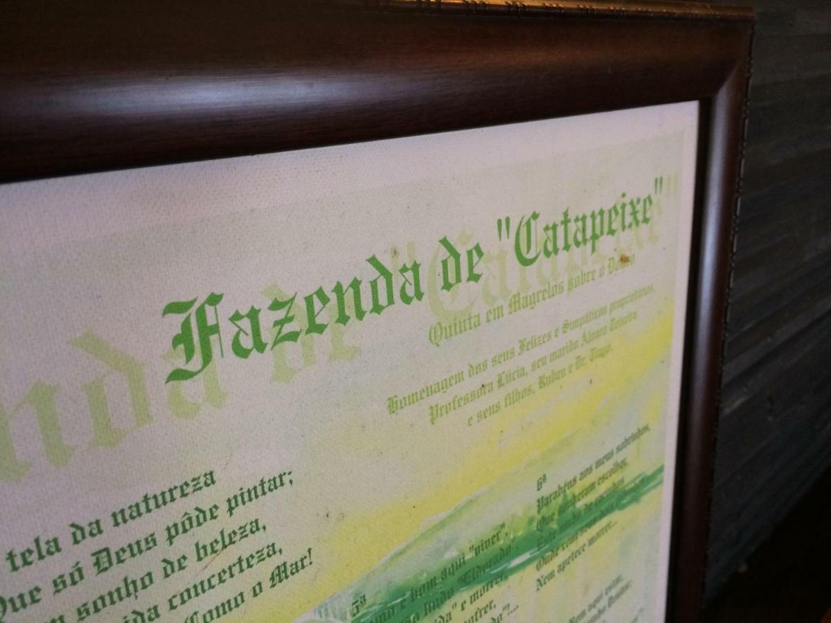 Quinta De Catapeixe Douro River Magrelos Eksteriør bilde