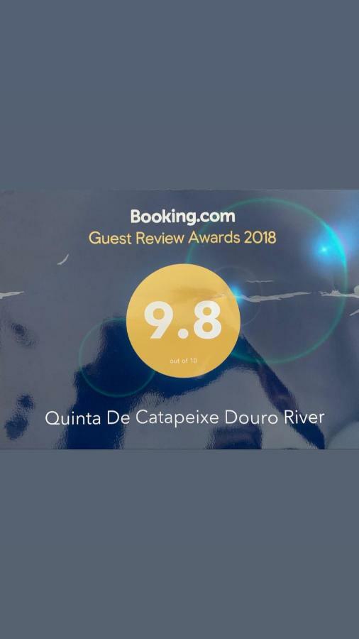 Quinta De Catapeixe Douro River Magrelos Eksteriør bilde