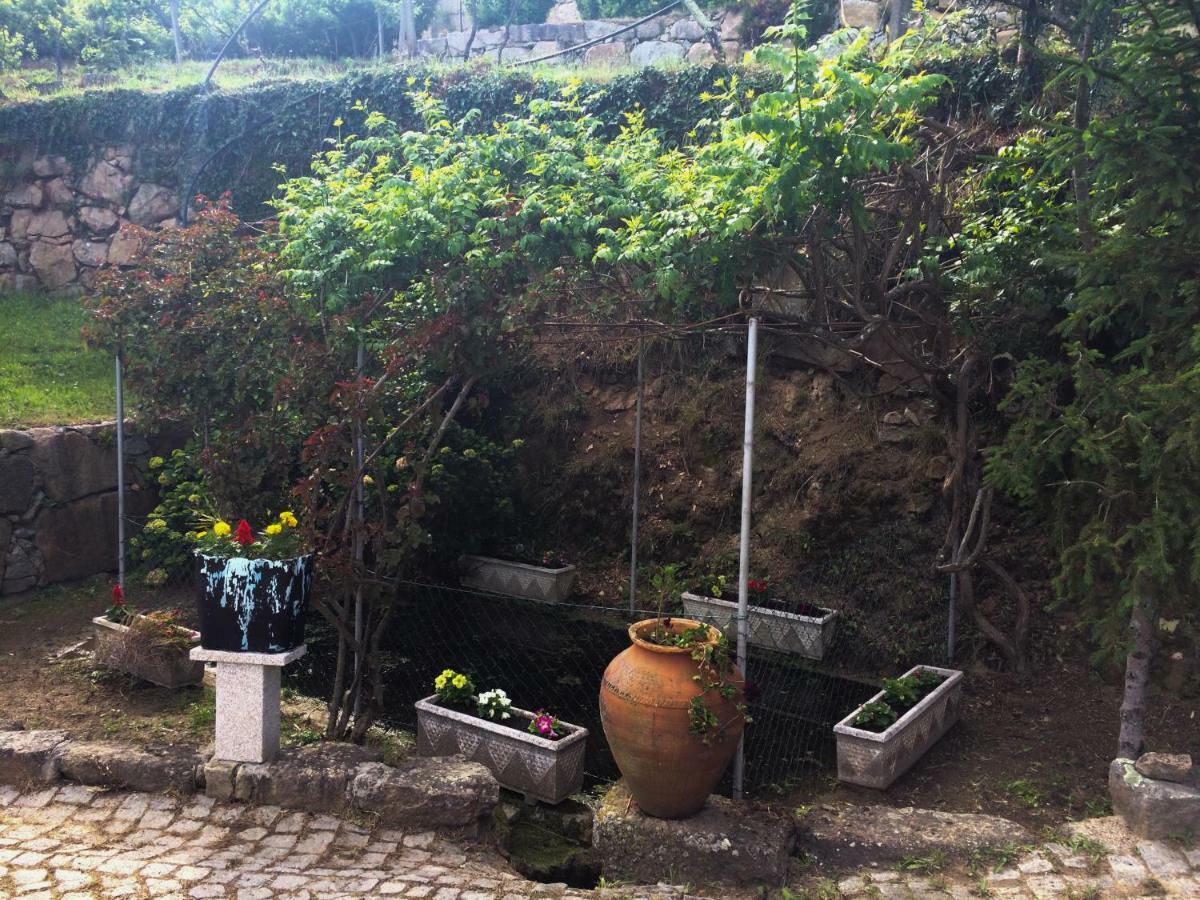 Quinta De Catapeixe Douro River Magrelos Eksteriør bilde